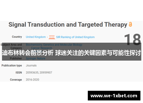 迪布林转会前景分析 球迷关注的关键因素与可能性探讨